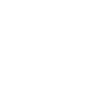 Palmer logo white with tag